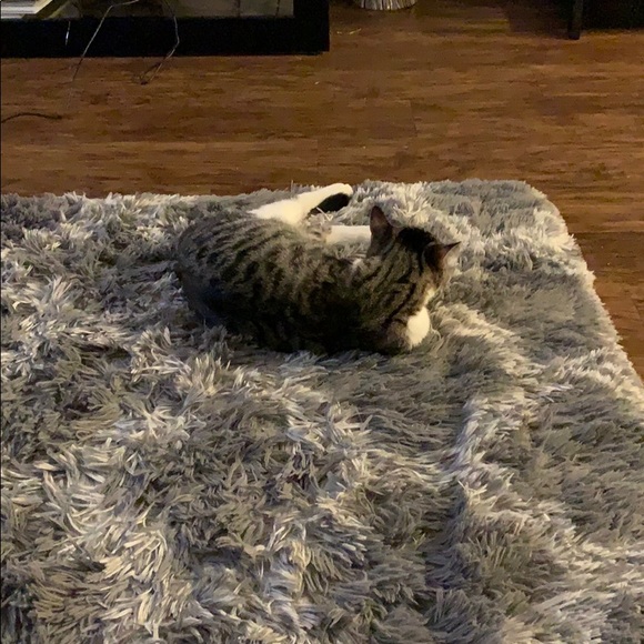 Meet your Posher, Mandy - Picture 1 of 1